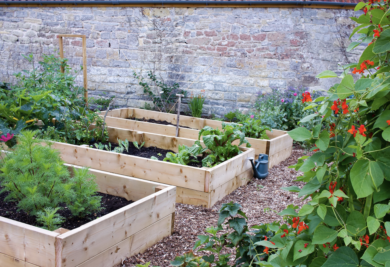 Design a New Garden Bed